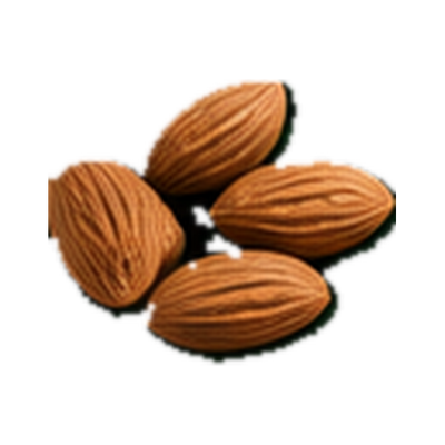 Magaz Badam